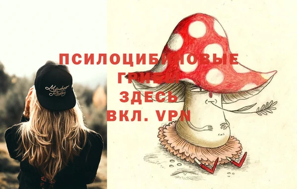 Альфа ПВП Арсеньев
