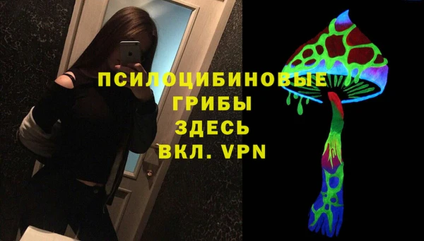 Альфа ПВП Арсеньев