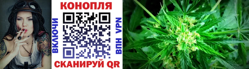 где купить наркотик  Углич  Шишки марихуана тримм 